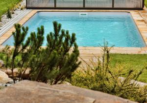 a swimming pool in a yard with a cactus at Penzión Malužiná in Malužiná