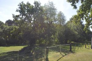 a fence and a tree in a field at Alte Schule 3, Urlaub wo einst die Dorfschule war in Kall