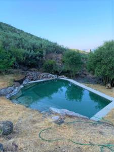 ein Becken mit Wasser in der Mitte eines Feldes in der Unterkunft Quinta De Cabrum in Alvoco da Serra