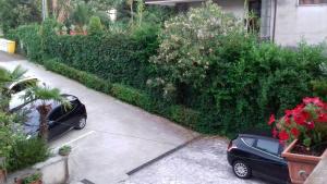 Zahrada ubytování Al verde limone