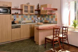 a kitchen with a stove top oven and a sink at Apartmány Irisis in Chvaleč