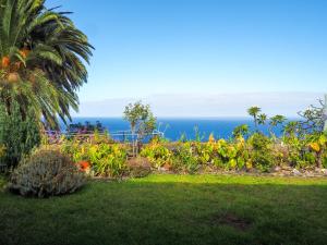 un jardín con el océano en el fondo en Casa Rural SOBRE EL MAR en Breña Baja