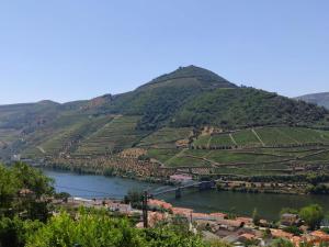 a view of a river and a mountain at Quinta da Galeira in Pinhão