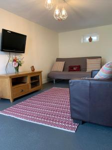a living room with a couch and a tv at Doxie Cottage in Saint-Chabrais
