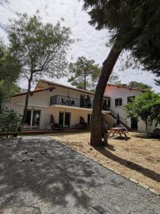 un edificio con un albero di fronte di Jaray-Jaclo Chambres d' hôtes a Vieux-Boucau-les-Bains