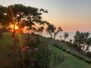 a sunset over the water with a tree and flowers at Angelbay Bungalows in Agia Triada