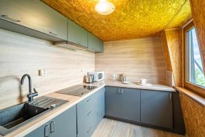 Kuchyňa alebo kuchynka v ubytovaní Apartmány Chata Jedlová hora