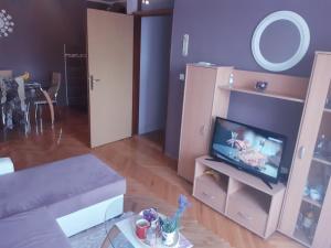 TV a/nebo společenská místnost v ubytování Lovely L home BN centar -Rent a car automatic