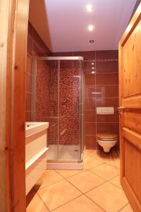 uma casa de banho com um chuveiro e um WC. em La casa del Mamao em Mergozzo