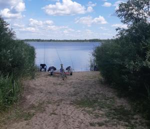 a bike parked next to a body of water at Domek holenderski in Łuka