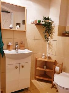 La salle de bains est pourvue d'un lavabo, de toilettes et d'un miroir. dans l'établissement Charming Studio, à Cracovie