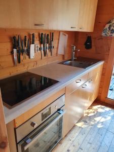 eine Küche mit einer Spüle und einer Theke in der Unterkunft Carlanja in Mäntyharju