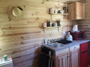 cocina con paredes de madera, fregadero y microondas en Roulotte la clé du Luberon, en Buoux 25 fotos más