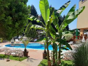 Bazén v ubytování Copacabana Hotel nebo v jeho okolí