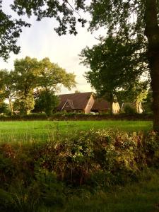 een huis in een veld met bomen en gras bij FeWo Im Loog in Großefehn 