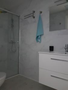 龐特維德拉的住宿－Barcia 1，带淋浴、盥洗盆和卫生间的浴室