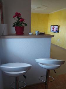 a counter with two stools and a pot of flowers at Petrovača in Žabljak +22 photos