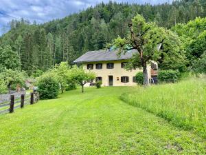 a house in the middle of a green field at Mama Trixi‘s Ferienwohnungen 