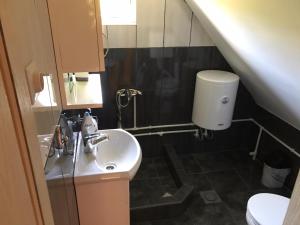 A bathroom at Apartman Helena