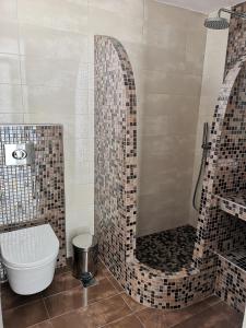 a bathroom with a shower with a toilet and a sink at Agapi Villas in Karterados