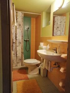 a bathroom with a toilet and a sink and a shower at Szőlősi Diófa Vendégház in Balatonszőlős +28 photos