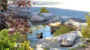 Φωτογραφία από το άλμπουμ του North Bay At Lake Arrowhead σε Lake Arrowhead