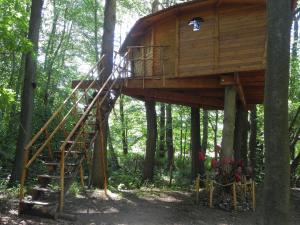 Fotografie z fotogalerie ubytování Treehouse v Brdech v destinaci Bohutín + 26 fotografií