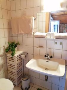 ゼルにあるBiobauernhof Enting Söllの洗面台とトイレ付きのバスルーム +34枚の写真