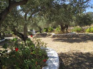 Zahrada ubytování Elisso Villas