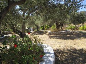 A garden outside Elisso Villas