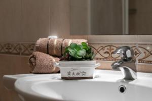 a bathroom sink with a potted plant on it at Apartments Barba in Tučepi +159 photos