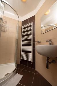 een badkamer met een wastafel, een spiegel en een douche bij Apartmaji Velikonja in Ajdovščina