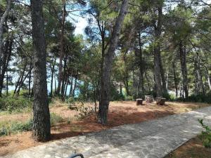 Fotografia z galérie ubytovania Apartmani Katerina v destinácii Pula