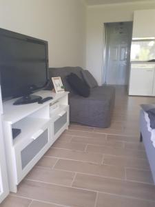 Televízia a/alebo spoločenská miestnosť v ubytovaní KARDOS APARTMAN