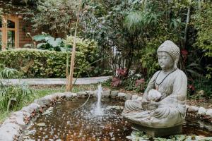 Jardin de l'établissement Hotel boutique Teocalli