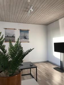 een woonkamer met een potplant en een tv bij Seaside VØ in Nørre Vorupør
