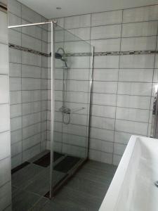 La salle de bains est pourvue d'une douche en verre et d'un lavabo. dans l'établissement La maison écologique, à Batilly