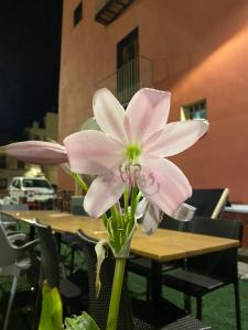 Fotografie z fotogalerie ubytování Restaurant & Rooms Cabrit v destinaci Sant Mateu