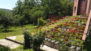 a garden with flowers in pots on a stairway at Casa Lorena in Sărata-Monteoru