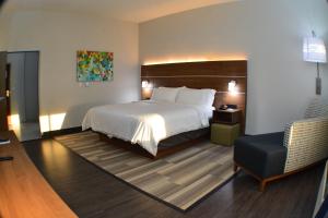 Postel nebo postele na pokoji v ubytování Holiday Inn Express Seguin by IHG