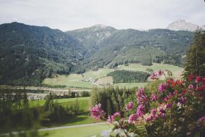 Paesaggio naturale nelle vicinanze dell'appartamento