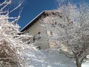 Ferienhaus Gassner durante l'inverno