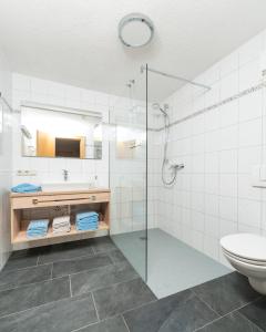 a bathroom with a shower and a toilet and a sink at Haus Dietmar in Holzgau