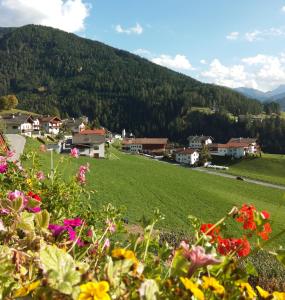 Paesaggio naturale nelle vicinanze dell'appartamento