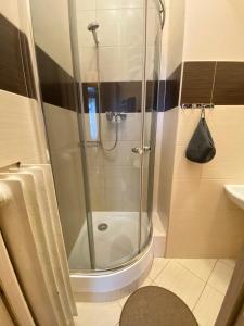 W łazience znajduje się prysznic ze szklanymi drzwiami. w obiekcie Family Apartment w Lwowie
