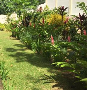 Gallery image of Sahaj Holiday Apartments in Baie Sainte Anne