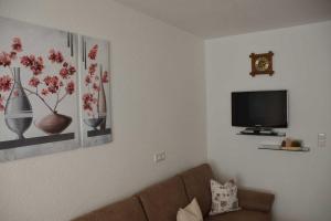 Telewizja i/lub zestaw kina domowego w obiekcie Ferienwohnung Plattner inklusive Sommercard