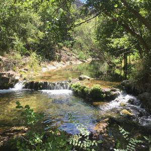 un ruisseau avec une cascade dans une forêt dans l'établissement Moulin de la Buade, à Termes