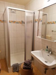 a bathroom with a shower and a sink at Höllhof Dachstein West in Russbach am Pass Gschütt