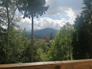a view of the mountains from a deck in a forest at Sela in Karpacz